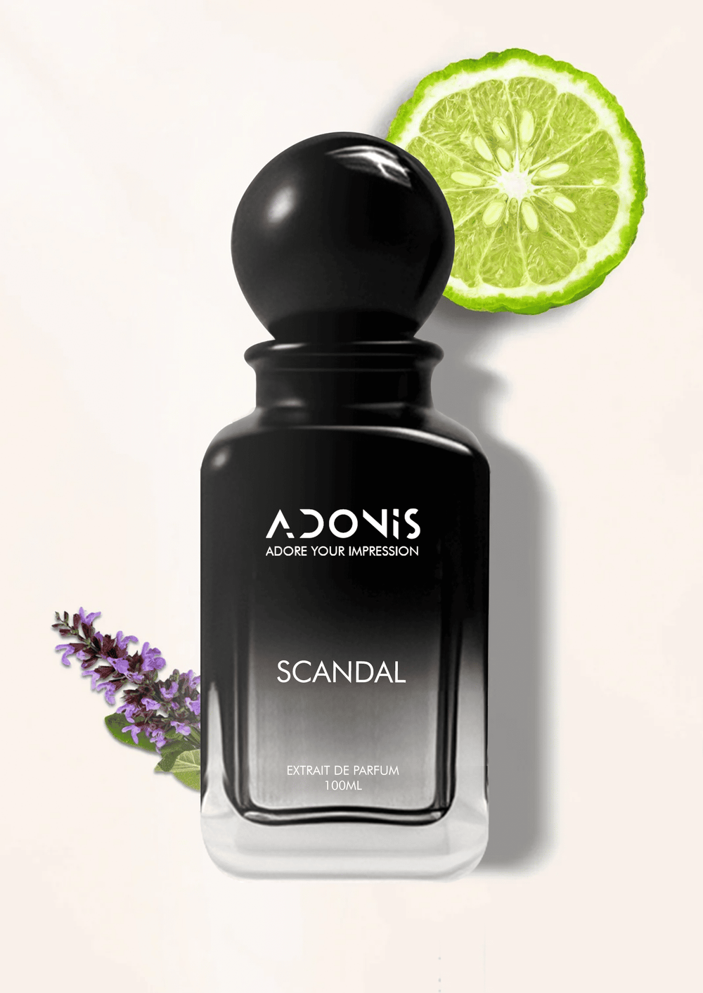 SCANDAL - Adonis