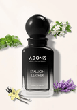 STALLION LEATHER - Adonis