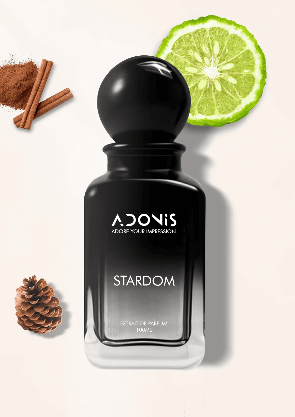 STARDOM - Adonis