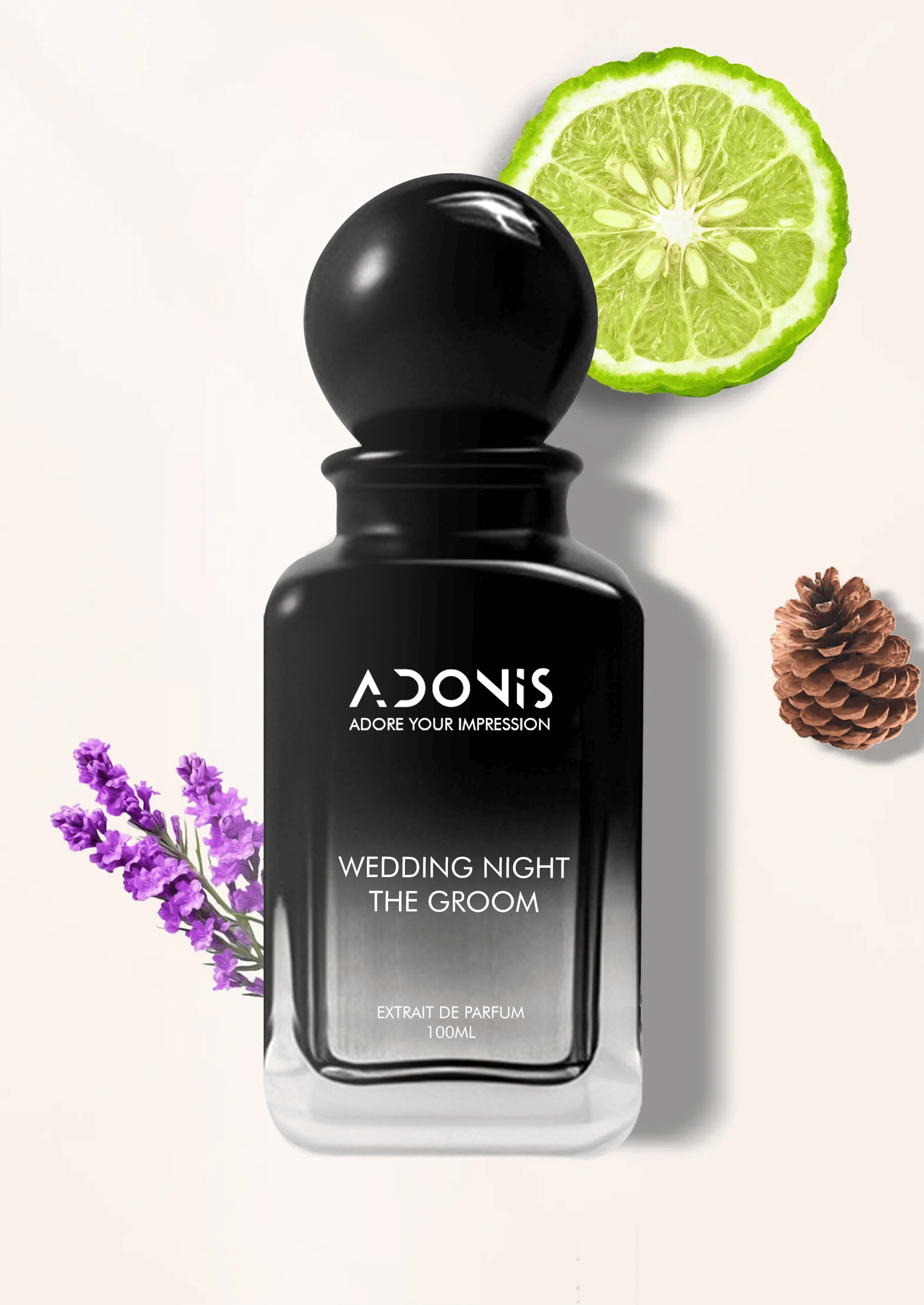 WEDDING NIGHT THE GROOM - Adonis