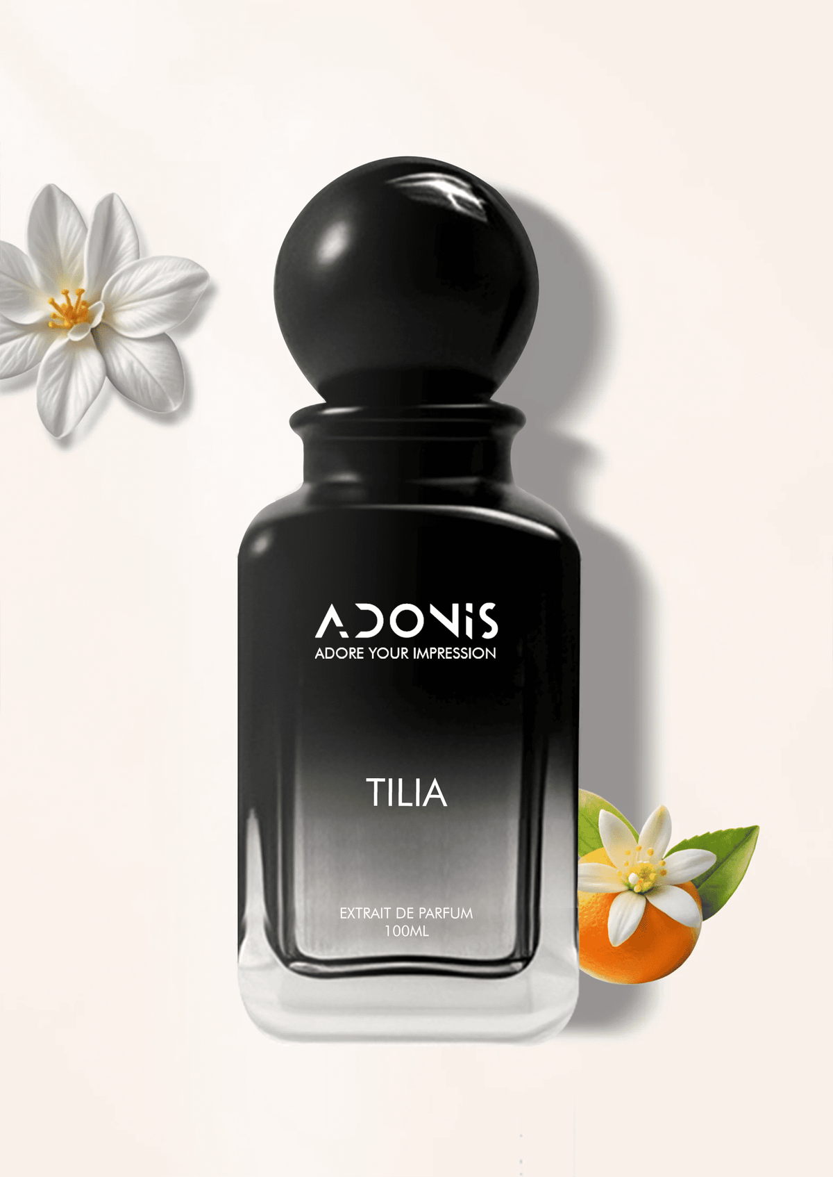 TILIA - Adonis