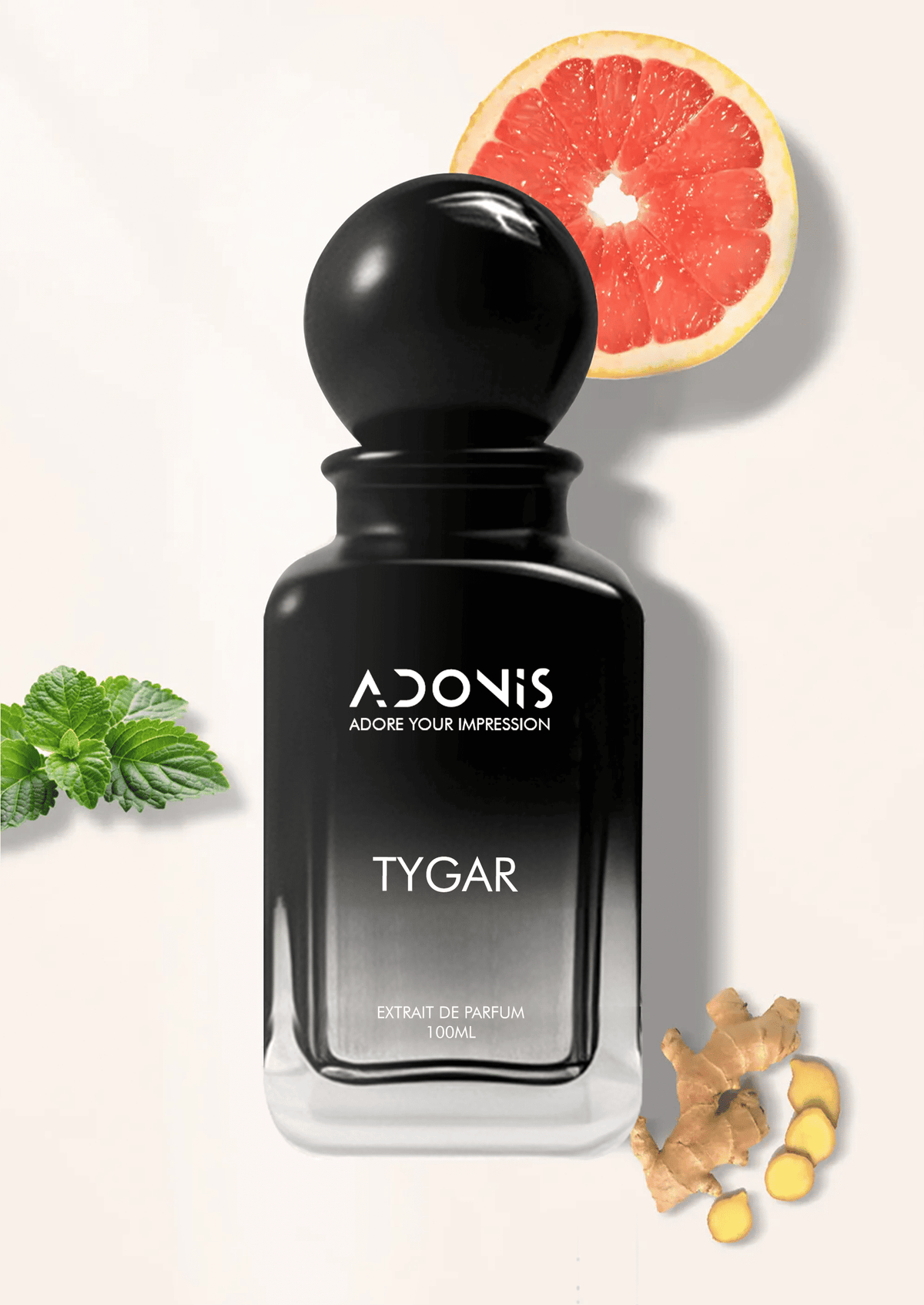 TYGAR - Adonis